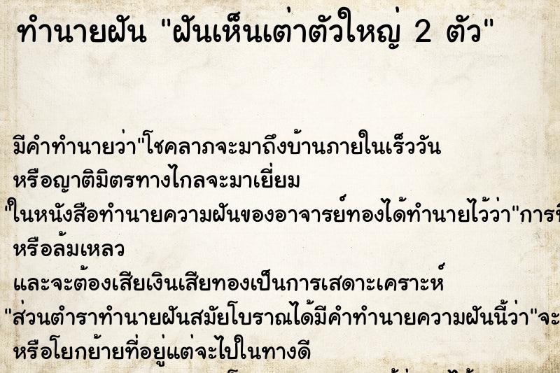 ทำนายฝัน ฝันเห็นเต่าตัวใหญ่ 2 ตัว ทำนายฝัน ฝันเห็นเต่าตัวใหญ่ 2 ตัว